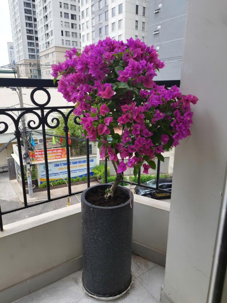 7 Apartment Thành Pho Ho Chí Minh Esterno foto